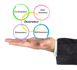 Type of Insurance