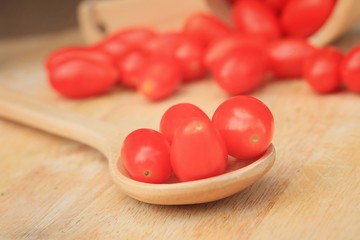 Fresh tomatoes