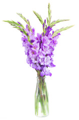 Naklejka premium bouquet of gladiolus flowers