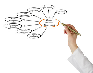 Human Resource Management