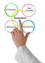 Type of Insurance