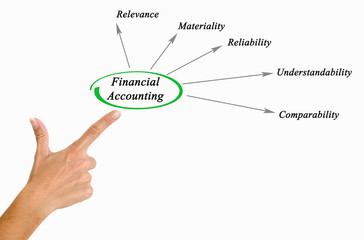 Diagram of financial accounting