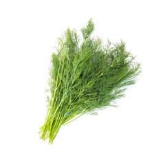 Fresh fennel