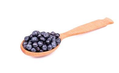 Blueberry in the spoon