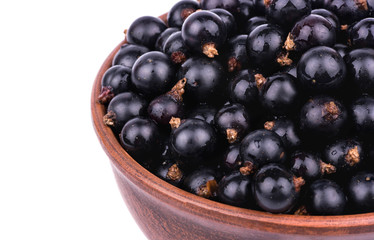 Black currants in a bowl
