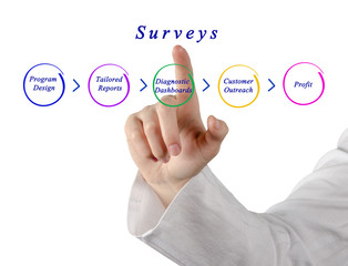 Diagram of survey