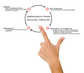 Application Data Security Lifecycle.