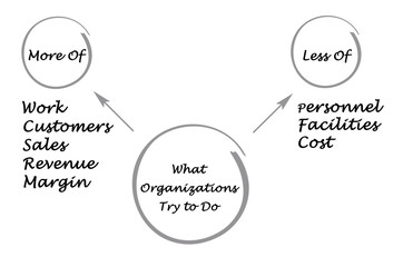 What Organizations Try to Do – More With Less