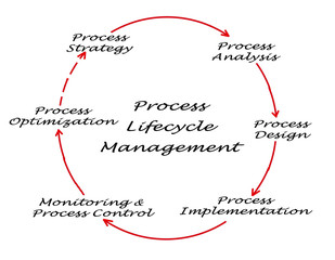 Fototapeta na wymiar Process Lifecycle Management