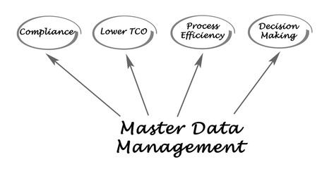Master Data Management