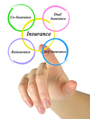 Type of Insurance