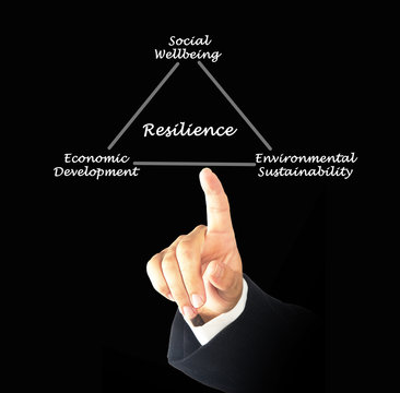 Diagram Of Resilience