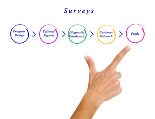 Diagram of survey