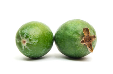 Tropical fruit feijoa isolated on white background