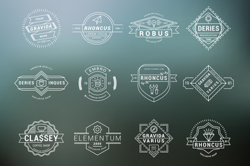 Set of Hipster Vintage Labels, Logotypes, Badges. Thin Line Design Templates on blurred background