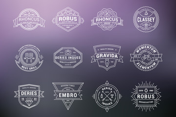 Set of Hipster Vintage Labels, Logotypes, Badges. Thin Line Design Templates on blurred background