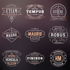 Set of Hipster Vintage Labels, Logotypes, Badges. Thin Line Design Templates on blurred background