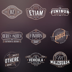 Set of Hipster Vintage Labels, Logotypes, Badges. Thin Line Design Templates on blurred background