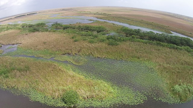 Aerial view of the Everglades swamp