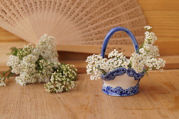 Medicinal plants - milfoil, yarrow flower	
