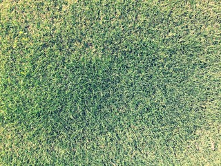 Grass Texture in Vintage Style
