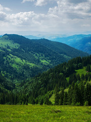 The mountain slopes are covered in forests