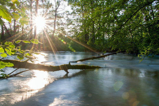 Alte Aare auf der H&ouml;he von Lyss