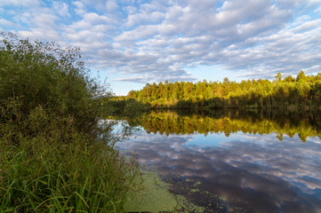 летний пейзаж на пруду с отражением леса в воде, Россия, Урал 