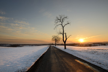 Winter Landscape with Country Road and Snow at Sunset