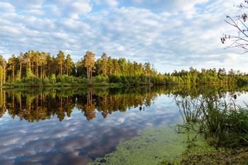 летний пейзаж на пруду с отражением леса в воде, Россия, Урал   © 7ynp100