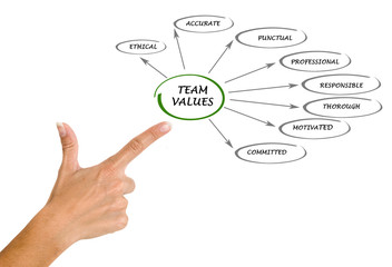 Fototapeta premium team values and norms