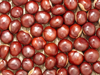 Chestnuts taken closeup as background.