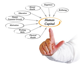 Diagram of Human Capital