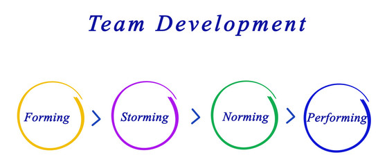 Team Development