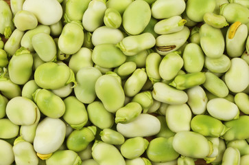 Broad beans