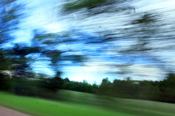 Fototapeta na wymiar Кусты и деревья из окна автомобиля