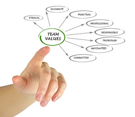  team values and norms