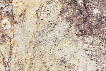 Rock texture background
