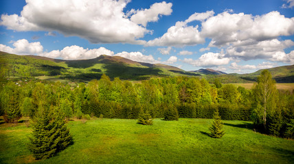 Landscape of mountains and forest