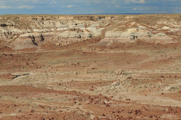 Petrified Forest National Park