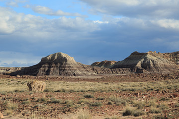 Petrified Forest National Park
