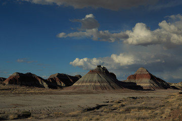 Petrified Forest National Park