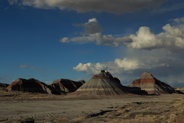 Petrified Forest National Park