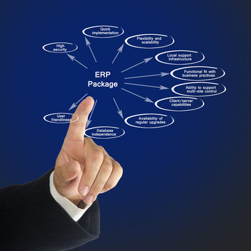 Diagram of  ERP Package.