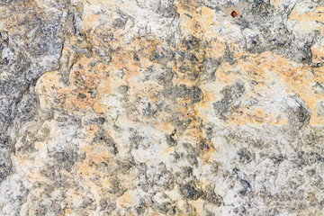 Rock texture background