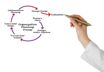 Organization Planning Process