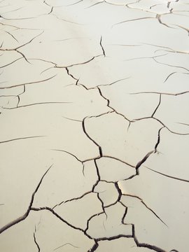 Cracked Dried Soil