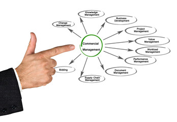 Fototapeta premium Commercial Management