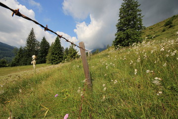 Dahtzaun
