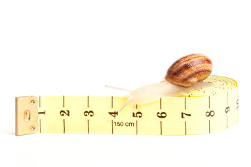snail with tape measure